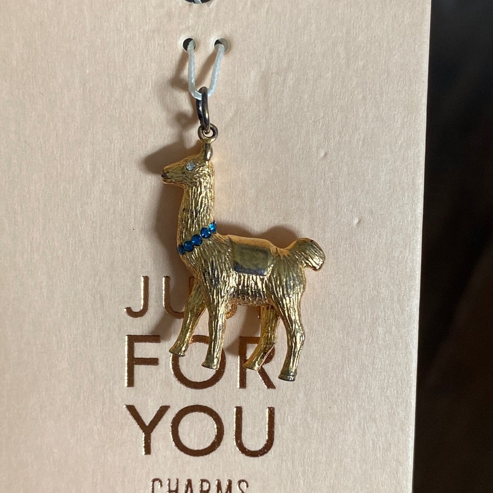 Anthropologie just for you charms - Picture 2 of 12